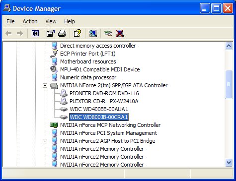 Windows XP Device Manager showing PATA Hard Drive Connections